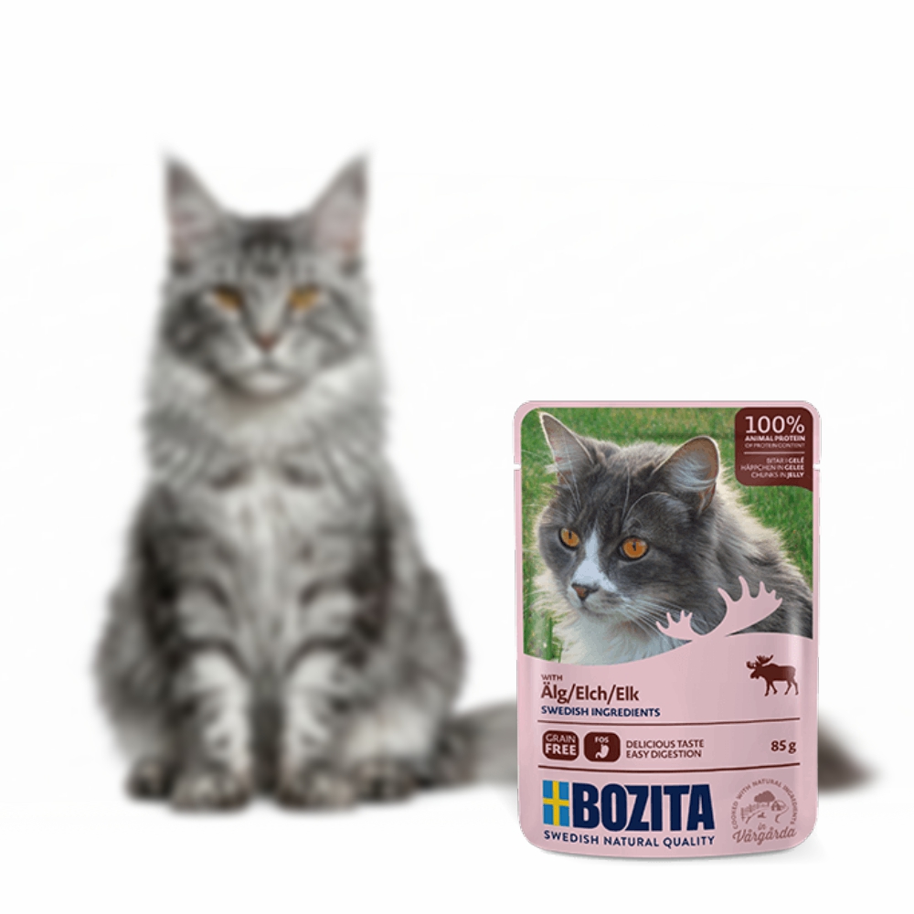 BOZITA karma dla kota w galarecie z łosiem 85g